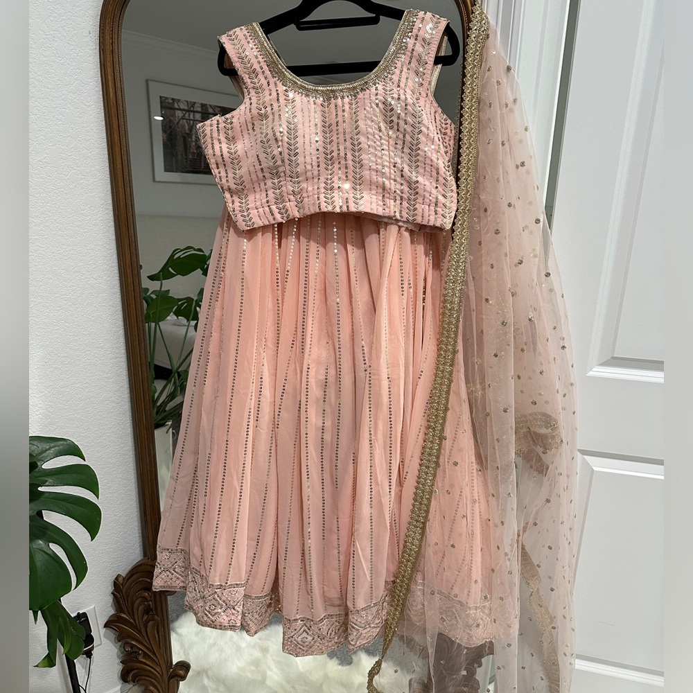 Soft pink Lehnga Choli